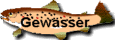 Gew&auml;sser
