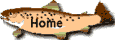 Homepage