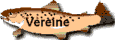 Vereine
