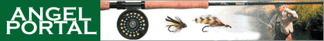 Angel-Portal